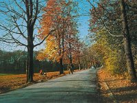 Park-šuma Cmrok, jesen  Sredinom 80-ih godina 19. stoljeća Cmrok je postao popularno zagrebačko izletište i šetalište, a tu su se održavali i prvi skijaški tečajevi u Zagrebu. U ispravama iz 18. stoljeća spominje se i pod imenom Smrek, pretpostavlja se zbog okolne smrekove šume, a do današnjeg imena došlo se iskrivljenim izgovorom navedenom imena.